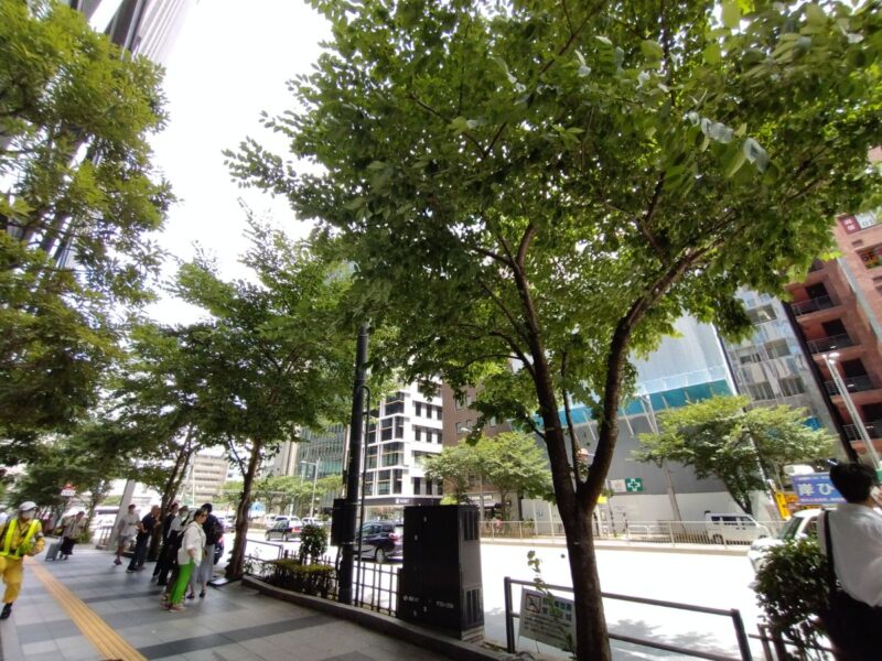無料バスに並ぶ人