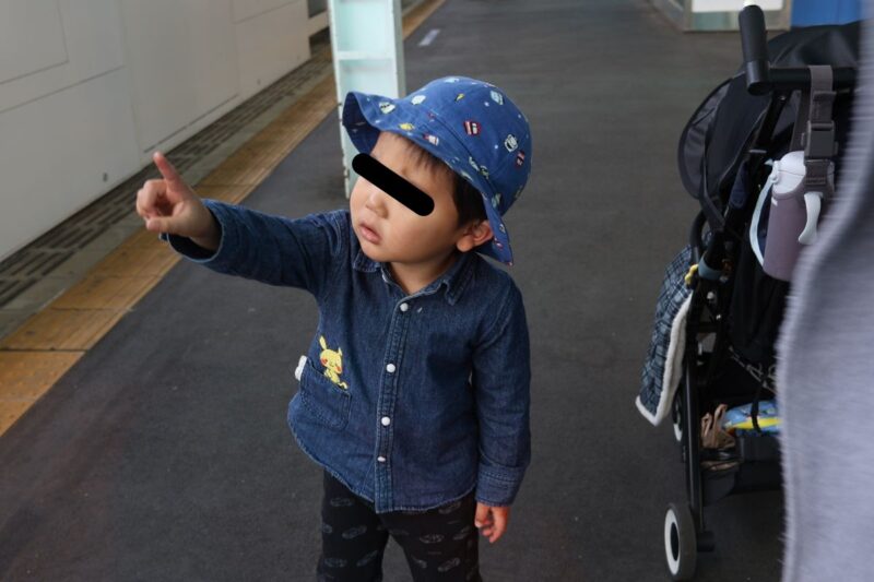 グリーン車の二階席に乗りたいとアピールする子ども