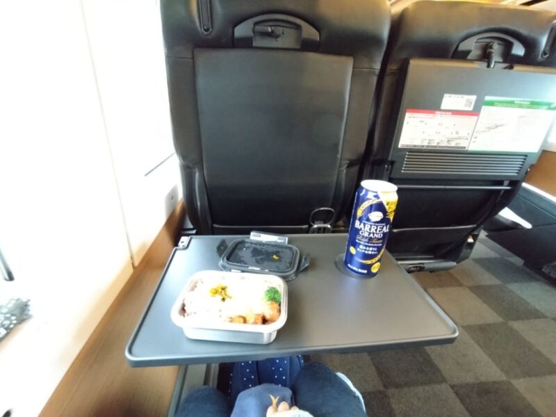 特急しおさいのグリーン席に子どもと座る