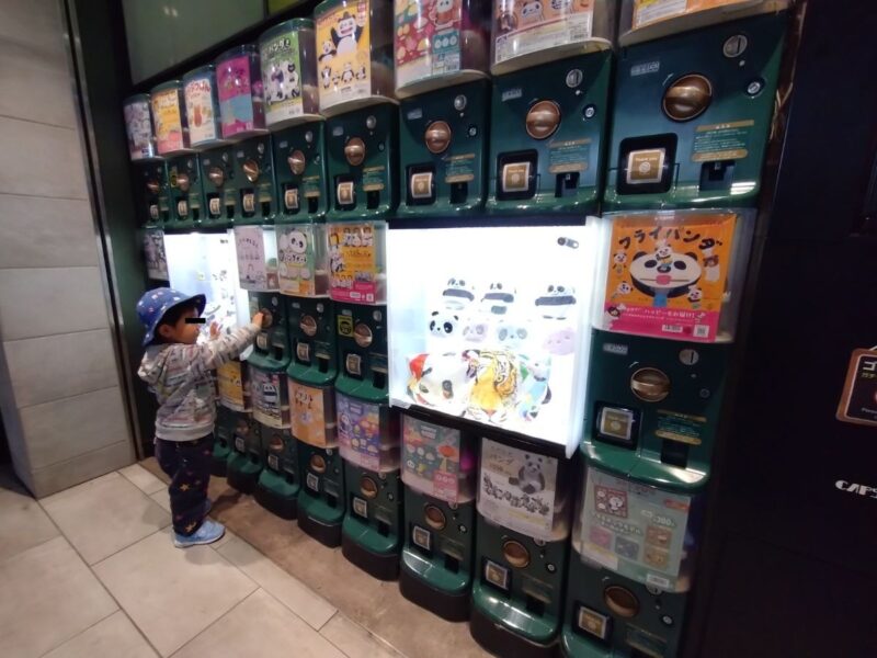 秋葉原でガチャガチャをチェックする子ども