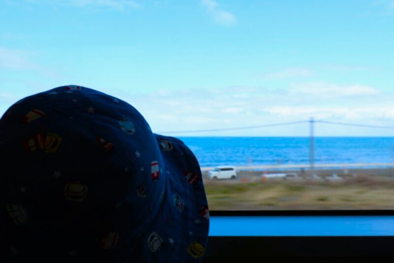 My child enjoying the ocean view from the train
